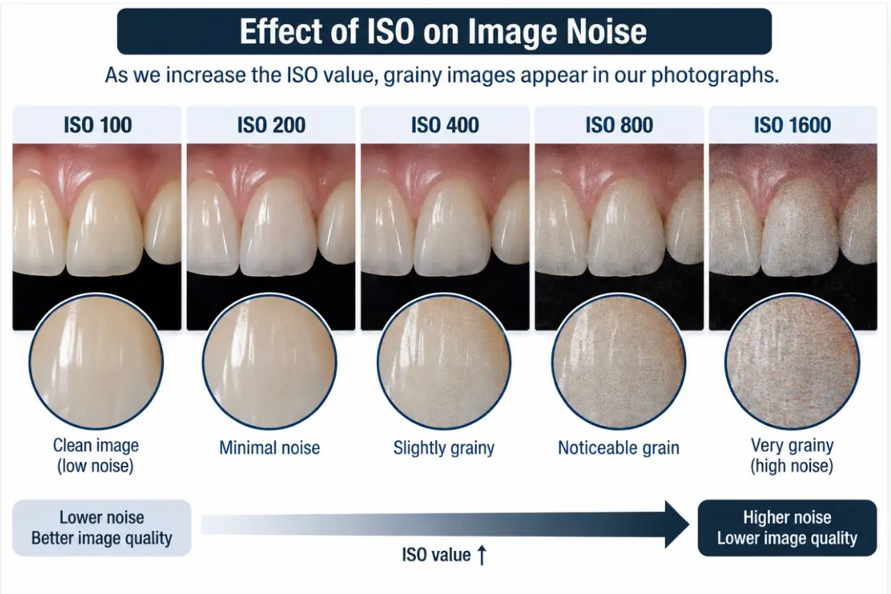 ISO 100'den 1600'e çıkıldıkça mine yüzeyinde artan gren