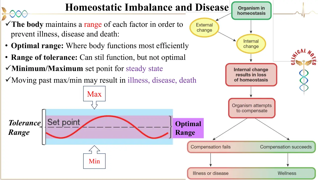 Optimal aralık, tolerans aralığı ve homeostaz kaybının sonuçları