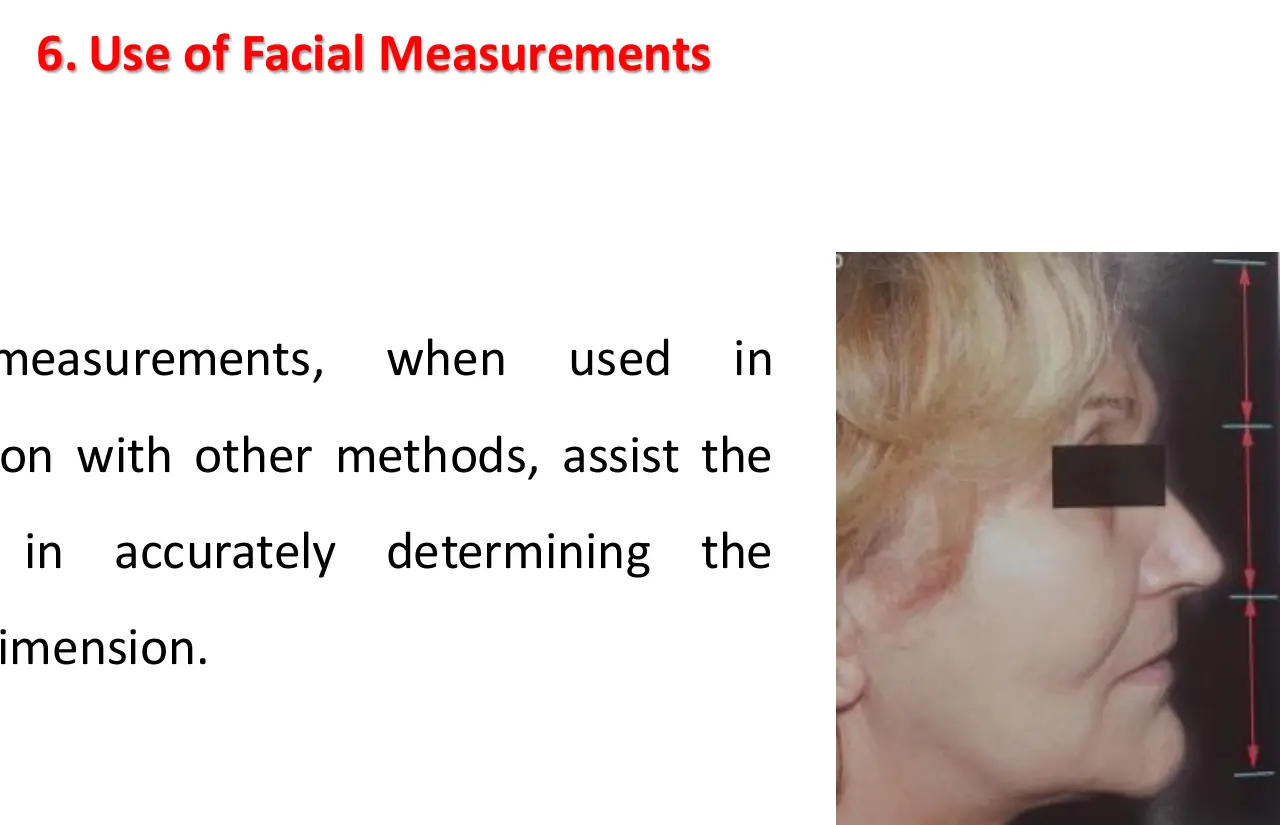 Eşit üçte birler: trichion–glabella, glabella–subnazal ve subnazal–çene bölümleri