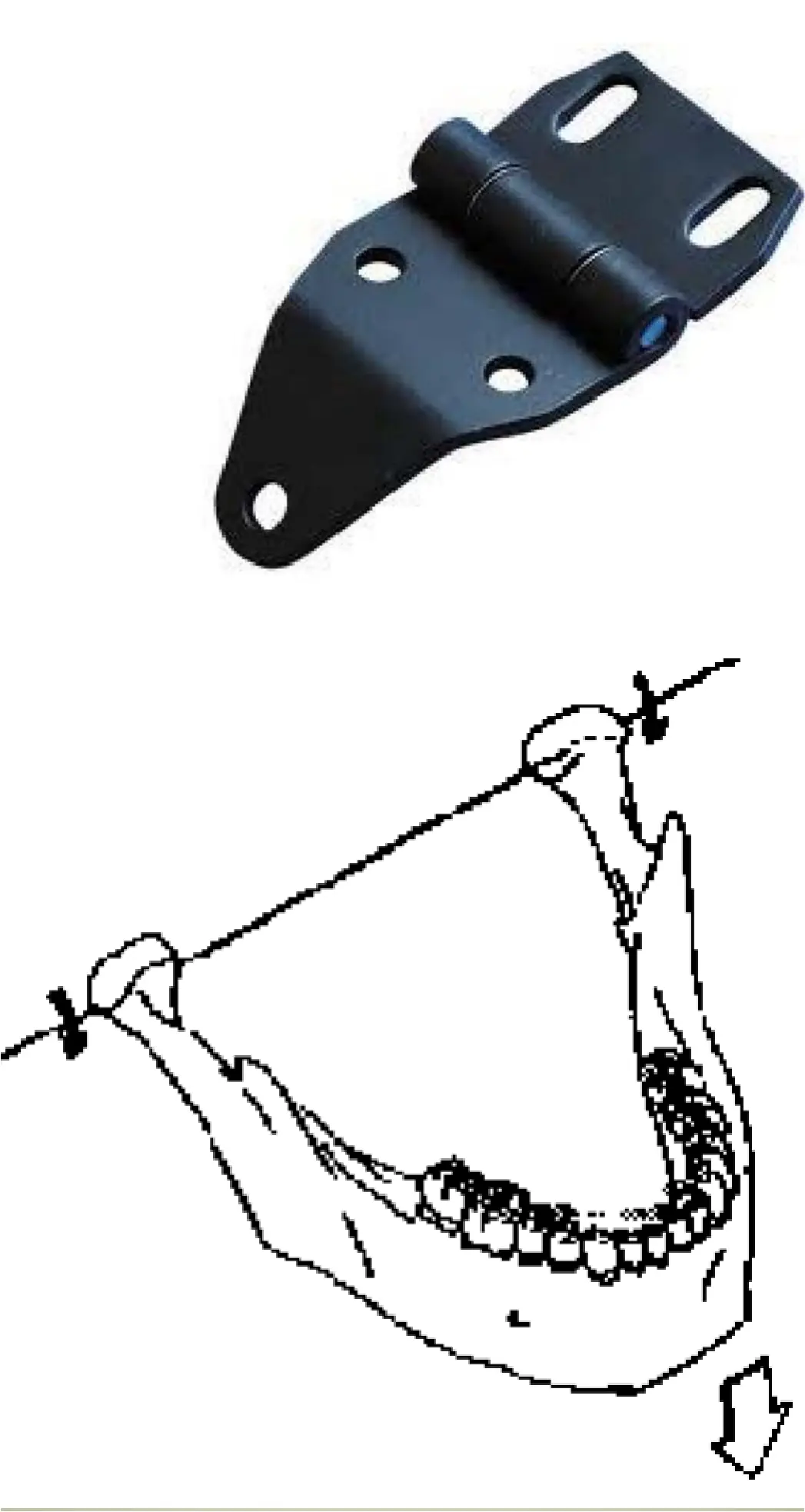 Slayt / Slide 8